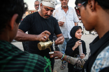 Arbaeen walk; Divaniyeh route