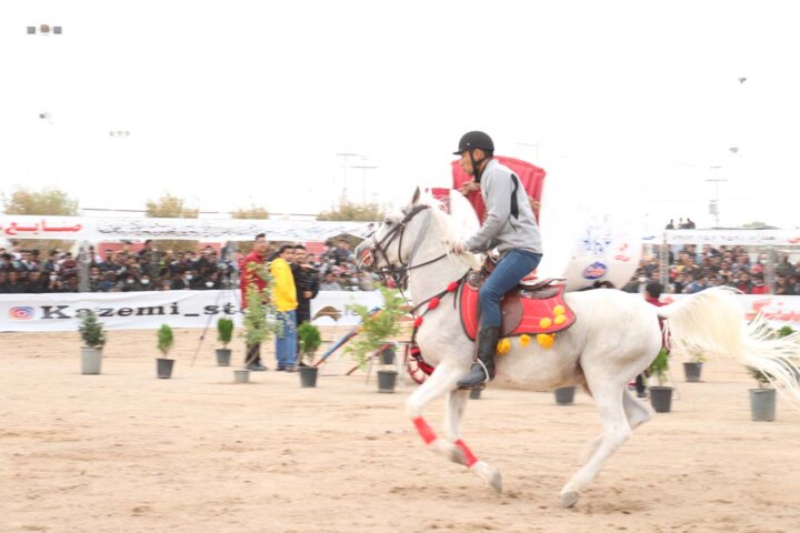 ضرورت اصلاح و پرورش اسب ورزشی برای حضور در مسابقات بین‌المللی