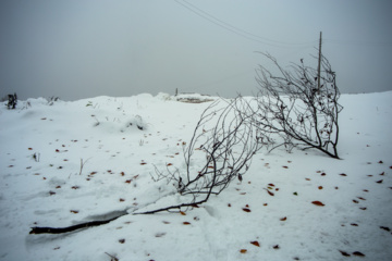 Nieve otoñal en Mazandarán