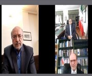 Webinar of Iranian literature effect on world held in Spain