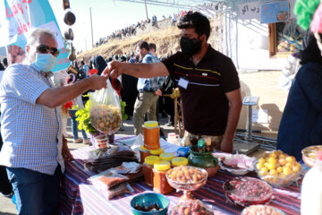 جشنواره آلو و پخت غذاهای محلی روستای حیدره قاضی خانی