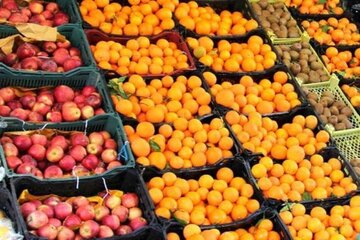 توزیع میوه طرح تنظیم بازار در خراسان رضوی آغاز شد