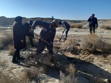 مبارزه با بیماری سالک در هفت روستای جنوبی دامغان در حال انجام است