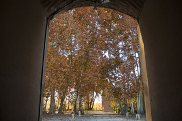 Autumn leaves in Pahlavanpur Garden