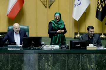 جلسه علنی مجلس شورای اسلامی - ۳۰ آبان ۱۴۰۳