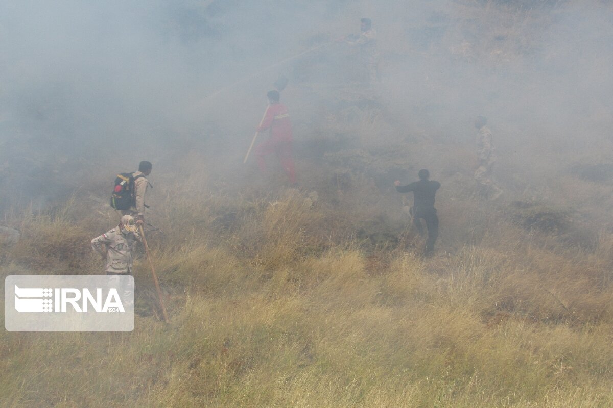 منطقه حفاظت شده گلیل در شیروان دچار آتش سوزی شد