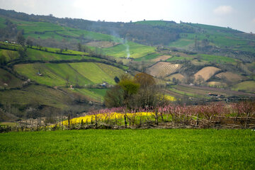 بهار در مازندران