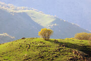 ۵ اثر طبیعی استان کرمانشاه ثبت ملی شد