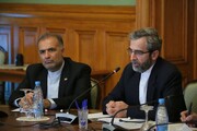 ایران و روسیه بر تقویت چندجانبه گرایی تاکید کردند