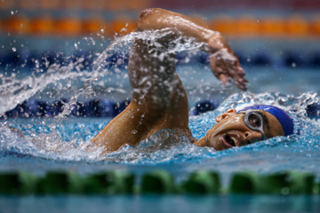 مسابقات شنا جام Des compétitions de natation à Téhéran 