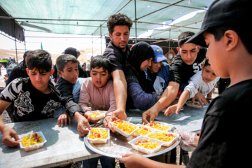 Peregrinos caminan hacia Mashhad para conmemorar el aniversario del martirio del Imam Reza (P)