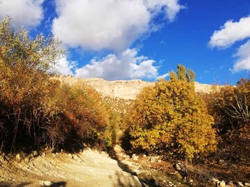 پاییز در روستای طولاب میشخاص