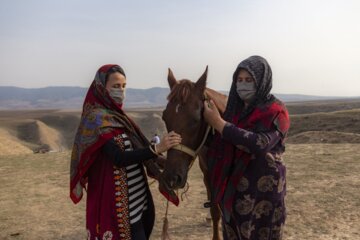 پانزدهمین جشنواره ملی زیبایی اسب ترکمن در صوفیان