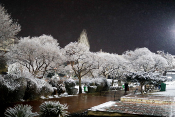 Iran : chute de neiges à Sanandaj 