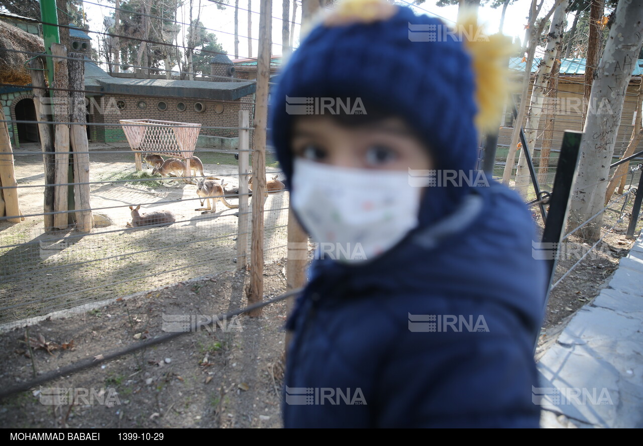 بازگشایی باغ وحش ارم تهران