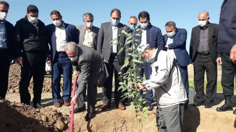 نهضت سبز نهال‌کاری در هزار هکتار از اراضی دهلران آغاز شد