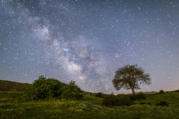 En el corazón de la noche..