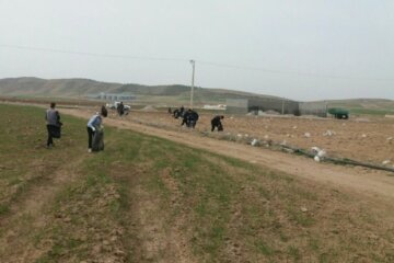 حاشیه روستای «گل‌سليمان آباد» میاندوآب در آستانه روز طبیعت پاکسازی شد