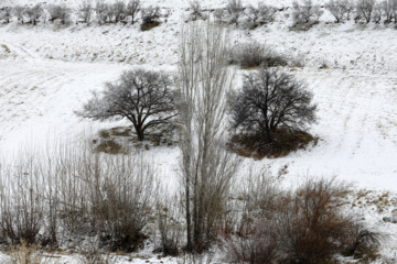 سپیدپوش شدن مناطق کوهستانی کردستان