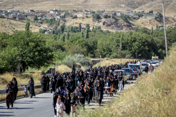 زائران پیاده حرم رضوی