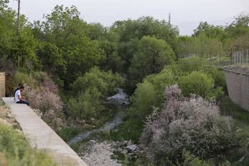 شیراز در روز سیزده بدر