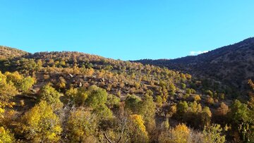 پاییز در روستای طولاب میشخاص