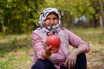 جشنواره انار روستای نمهیل