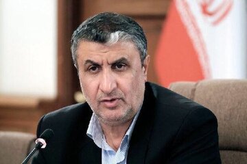 اسلامی: ایران به دنبال تامین ۵۰ درصد برق کشور از انرژی هسته ای است