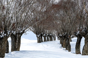 La beauté de la nature hivernale dans le village de Chibli, au nord-ouest du pays