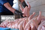 متخلفین شبکه توزیع گوشت مرغ در فارس منتظر برخورد قانونی باشند