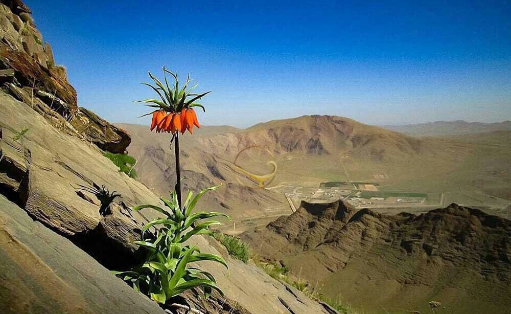 گردشگران تیرماه مجاز به بازدید از مناطق حفاظت شده استان همدان هستند