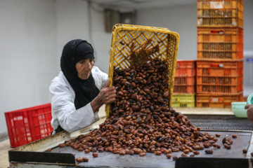 طرح‌های اشتغال‌زایی در خوزستان