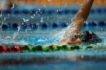 Des compétitions de natation à Téhéran 