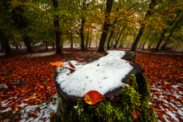 Nieve otoñal en Mazandarán