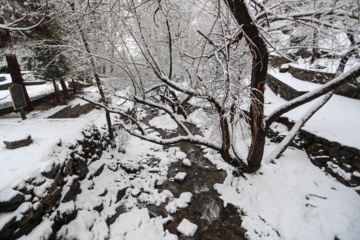 بارش برف در همدان