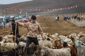 Iran : le 29ème Festival culturel et sportif des Nomades d'Azerbaïdjan au nord-ouest