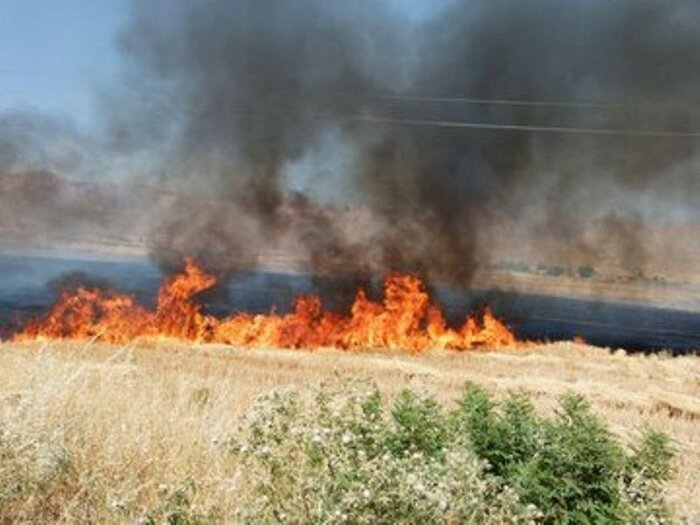 ۶۴۵ کیلومتر «آتش بُر» در منابع طبیعی استان همدان ایجاد شد