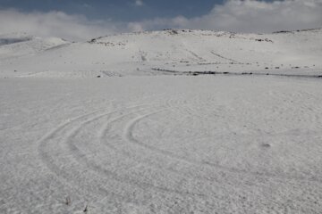 بارش برف در شهرستان باروق