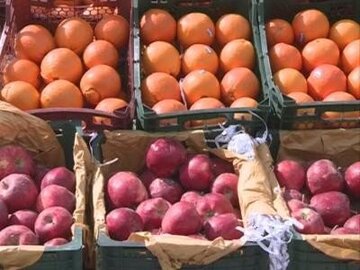 تمامی سهمیه میوه تنظیم بازار نوروزی در خراسان رضوی به فروش رسید