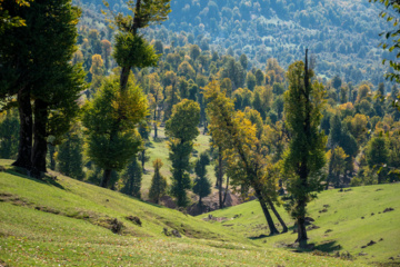 Iran: plaine de Markouh dans la province du Golestan au nord