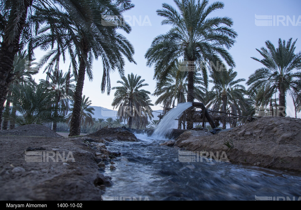 زندگی در بخش احمدی هرمزگان