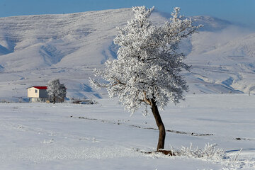 Snowy day 