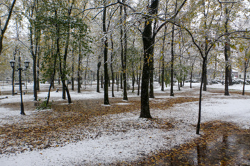 Iran-décembre 2024 : chutes de neige d’automne à Rasht au nord (Photo : Mojtaba Mohammadi)