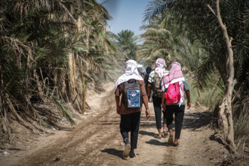 Marche d'Arbaeen:  route de Divaniyeh