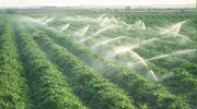 آبیاری و زهکشی بیش از ۱۲ هزار هکتار از اراضی کشاورزی آذربایجان‌شرقی 