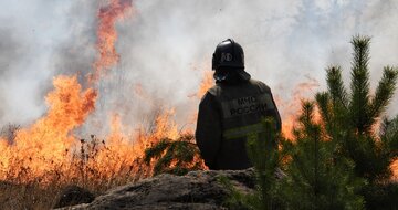 چهار هزار هکتار از جنگل های روسیه دچار آتش سوزی شد