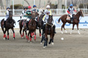 Liga Nacional de Polo en Irán