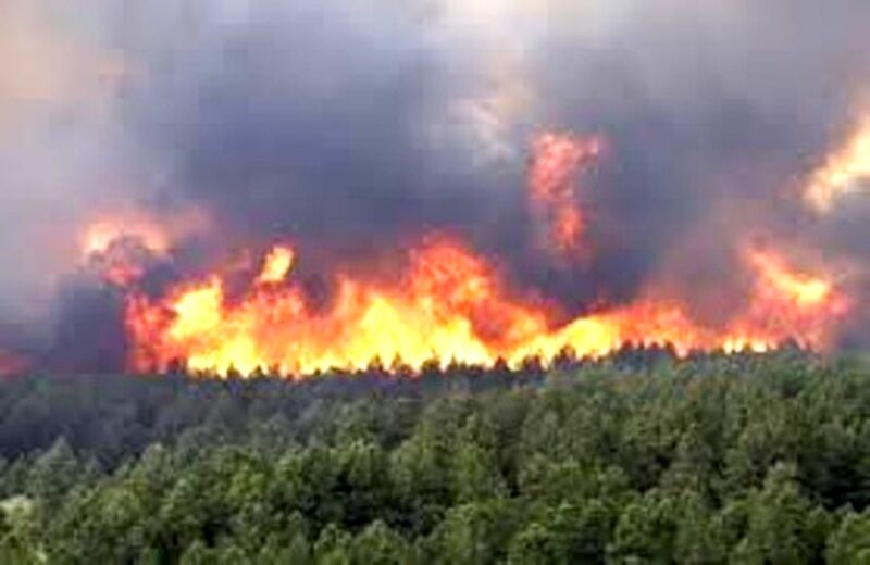 آتش‌سوزی در کوه رنج ممسنی فارس مهار شد