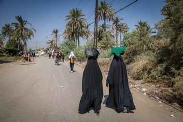 Arbaeen walk; Divaniyeh to Kufa route