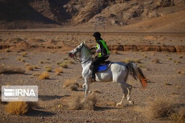 Endurance riding competition in Iran